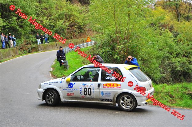 DSC_8520.JPG
